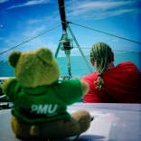 nounours-3